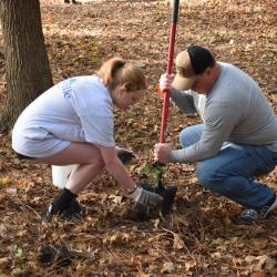 Two people planting a new plant. One is setting the plant in the ground. The other is holder a shovel.
