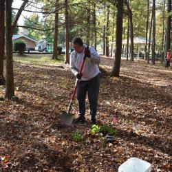 Someone in the woods digging into the ground to plant a new plant.
