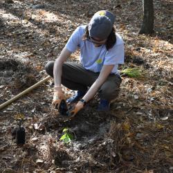 One person, crouched down on the ground planting a new green plant into the soil.