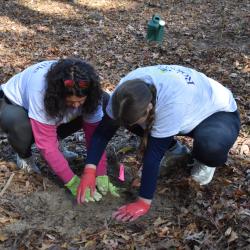 Two people working together to plant one new plant into the soil. Both are patting down the soil aorund the plant.