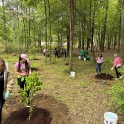 A group of people planting trees in a opening in the woods