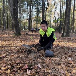 Someone looking at the camera as they work to remove an green plant on the ground.