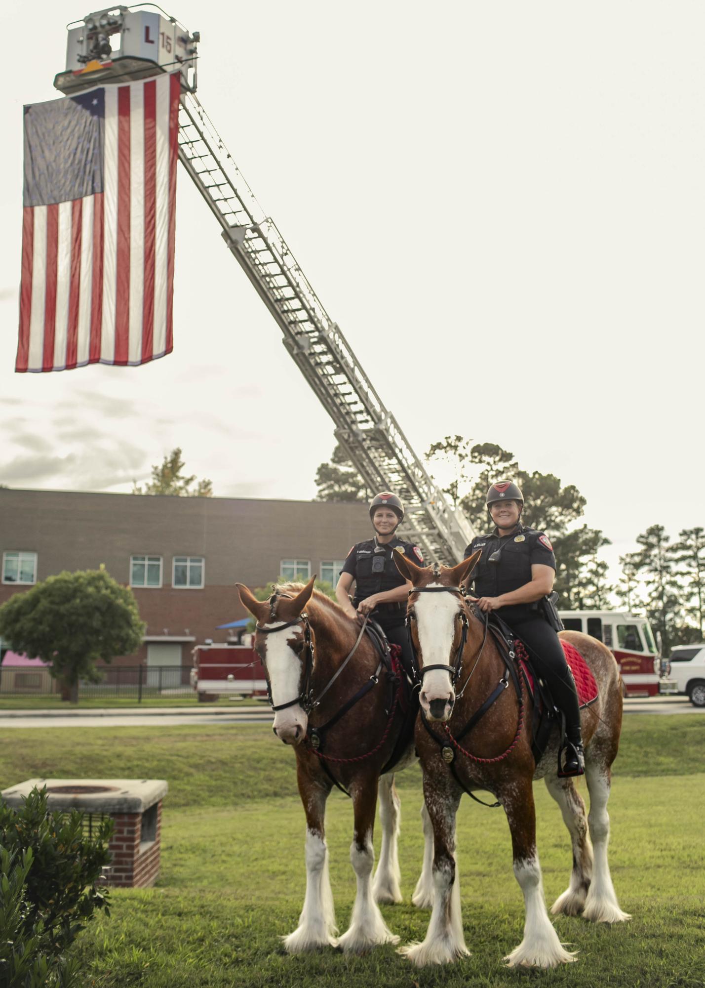 Horses and American Flag