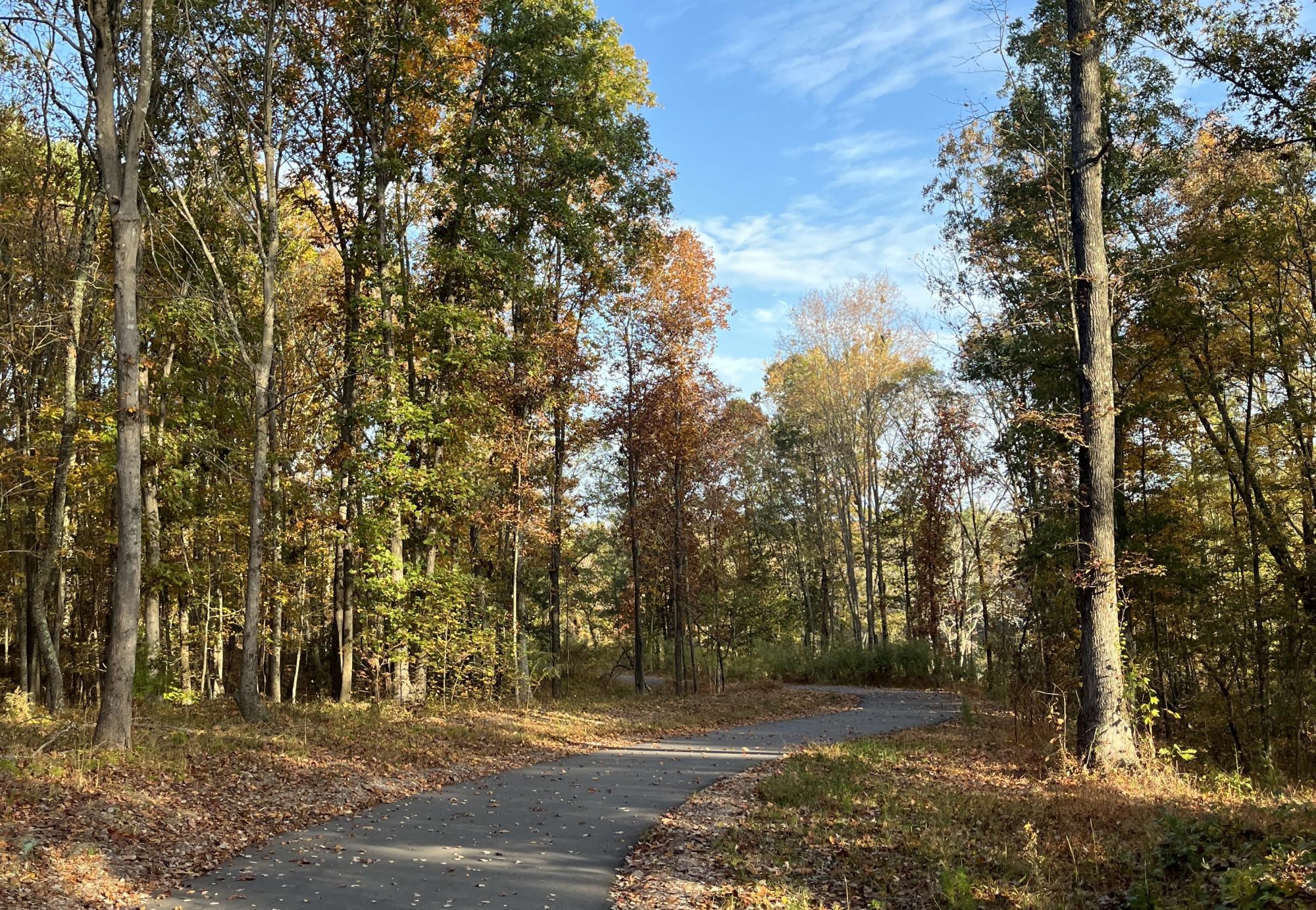 greenway trail with trees