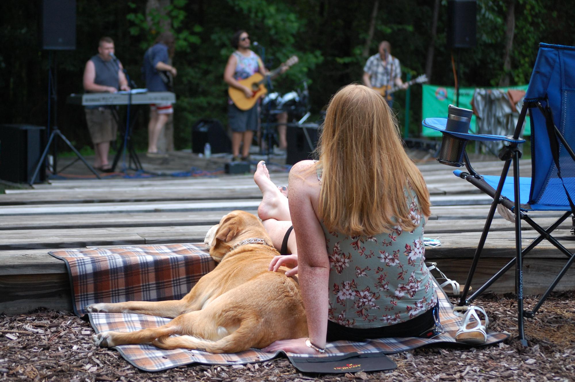 Music at Mill Bridge Picture