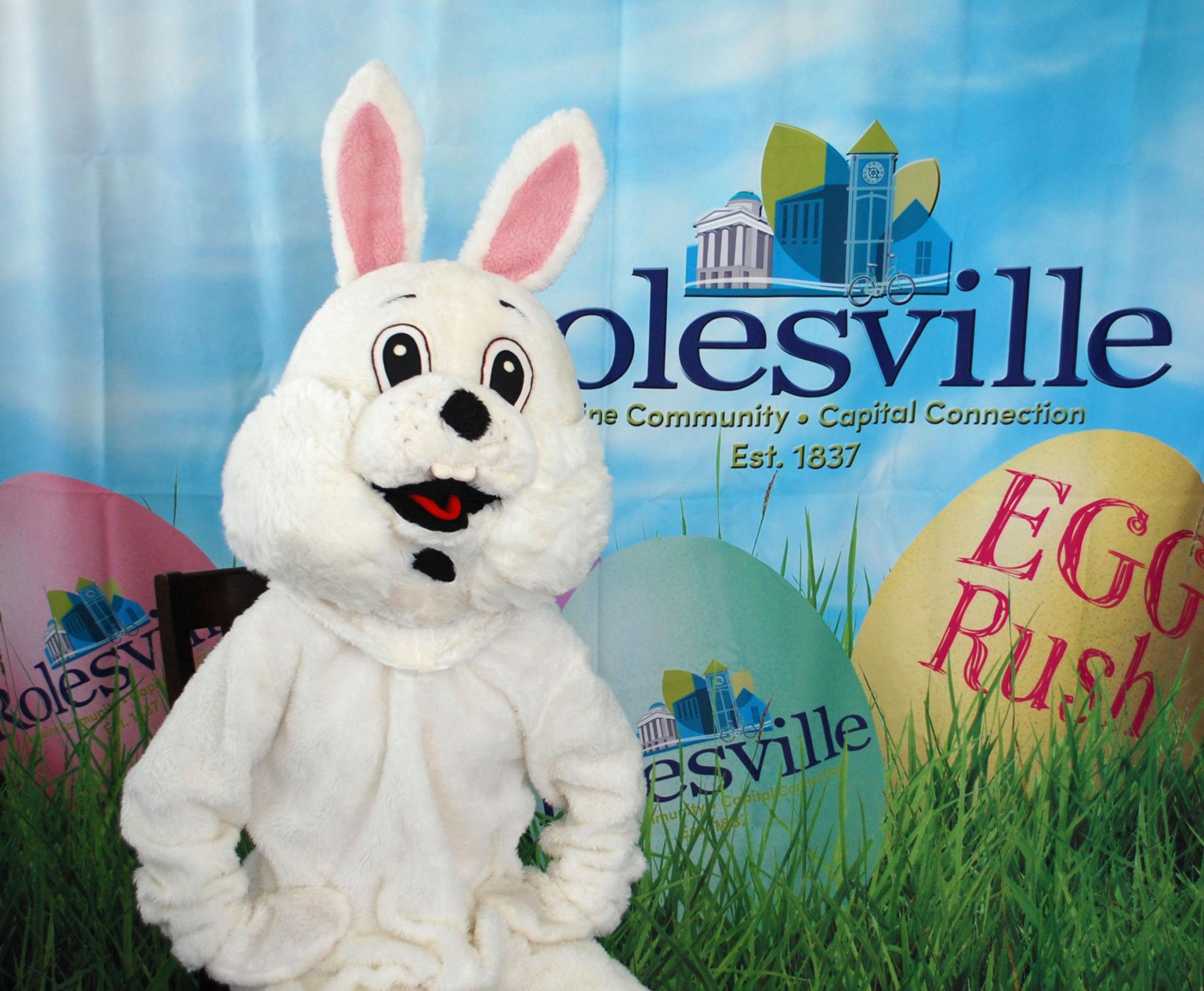 Photoshop the Bunny