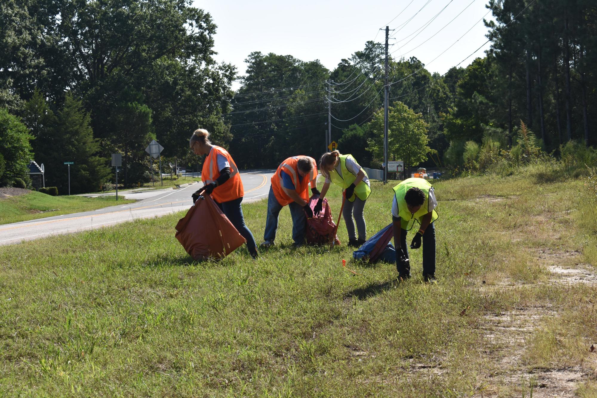 Litter Sweep