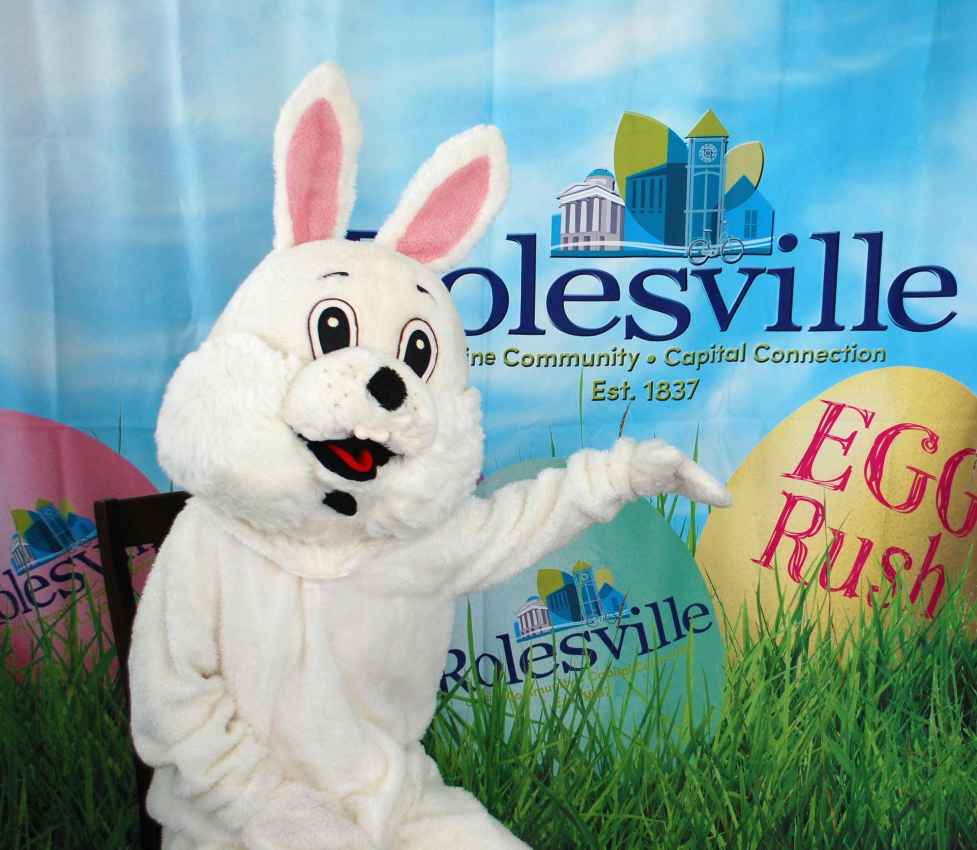 Photoshop the Bunny