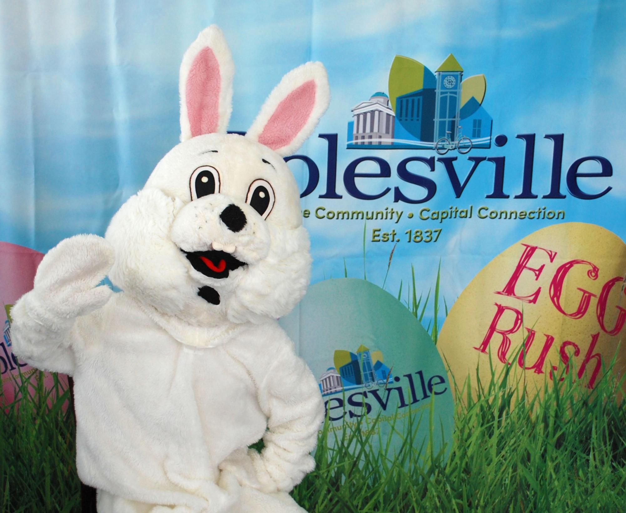 Photoshop the Bunny