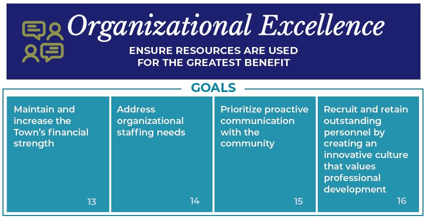 Organizational Excellence