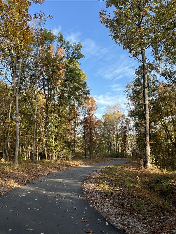Walking trail in Rolesville with trees and leaves.